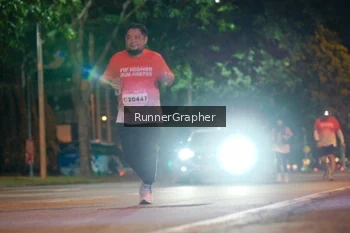 Runner Photo 1847839