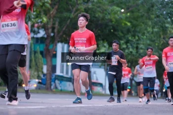 Runner Photo 1858433