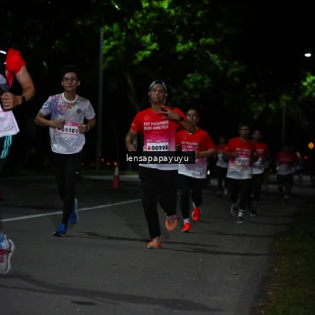 Runner Photo 1867646