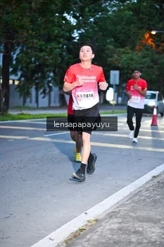 Runner Photo 1883305