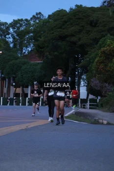 Runner Photo 1916861
