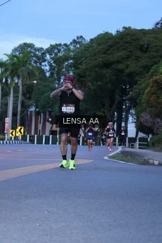 Runner Photo 1917303