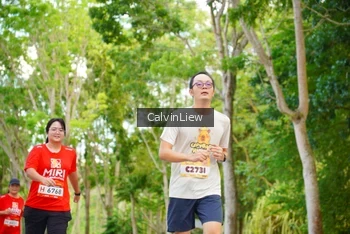 Runner Photo 1953431