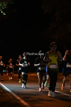 Runner Photo 1960755