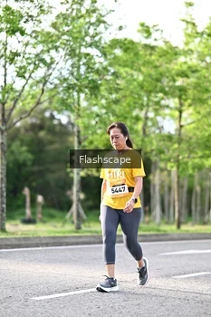 Runner Photo 1997336