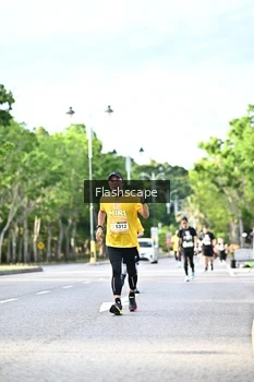 Runner Photo 1997339