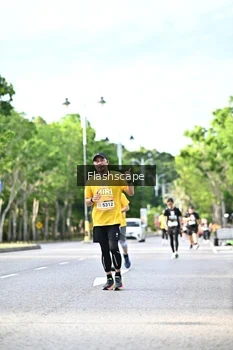 Runner Photo 1997340