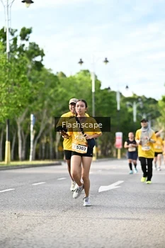 Runner Photo 1997493