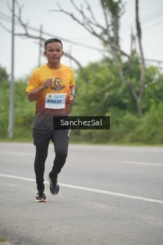 Runner Photo 2035507