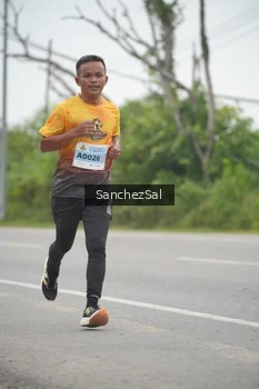 Runner Photo 2035508