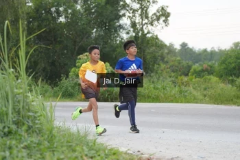 Runner Photo 2036712