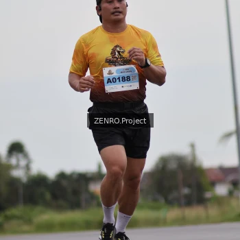 Runner Photo 2038641