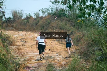 Runner Photo 2068839