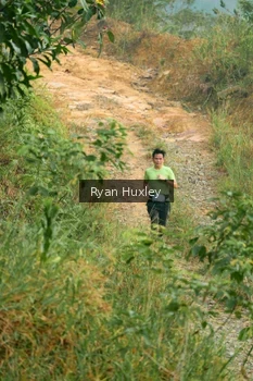 Runner Photo 2069402