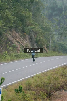 Runner Photo 2071666
