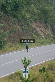 Runner Photo 2071672