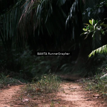 Runner Photo 2071774