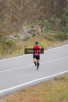 Runner Photo 2071822