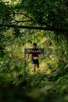 Runner Photo 2073808