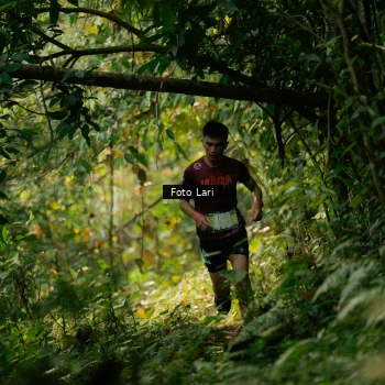 Runner Photo 2073825