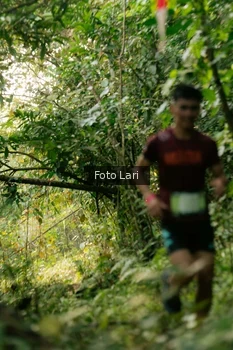 Runner Photo 2073856