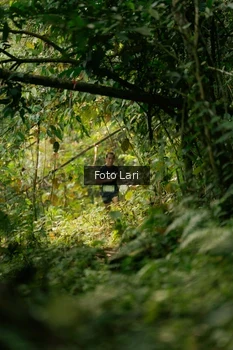 Runner Photo 2073882
