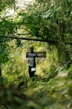 Runner Photo 2074129