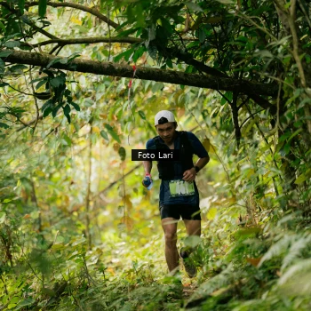 Runner Photo 2074356