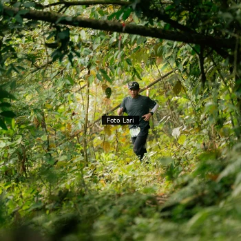 Runner Photo 2074451