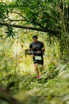 Runner Photo 2074579