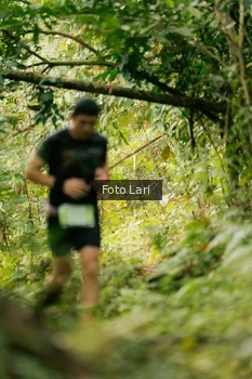 Runner Photo 2074597