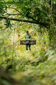 Runner Photo 2074692