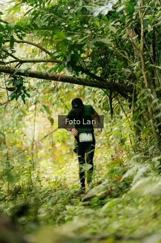 Runner Photo 2074722