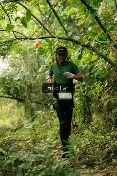 Runner Photo 2074764