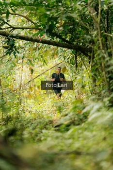Runner Photo 2074857