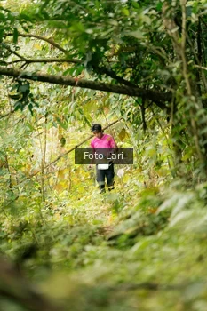 Runner Photo 2074991