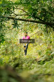 Runner Photo 2075002