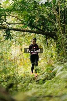 Runner Photo 2075097