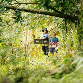 Runner Photo 2075499