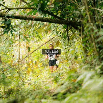 Runner Photo 2075610