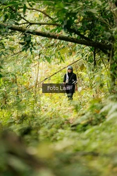 Runner Photo 2075899