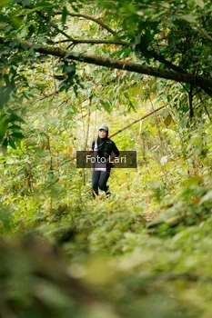 Runner Photo 2075905