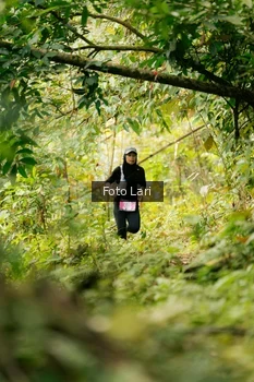 Runner Photo 2075911