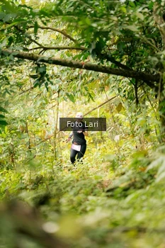 Runner Photo 2078273