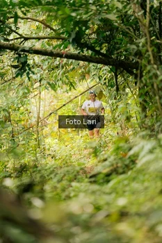 Runner Photo 2078401