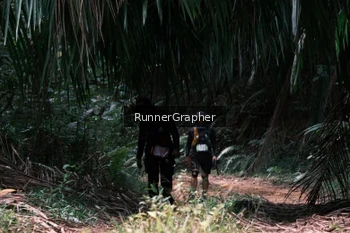 Runner Photo 2078613