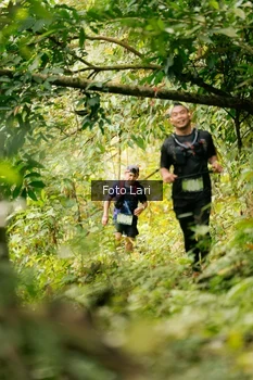 Runner Photo 2078908