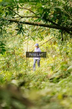 Runner Photo 2079093