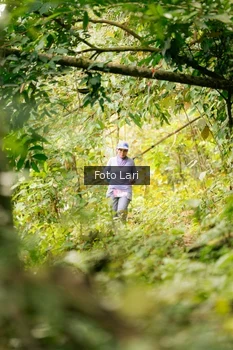 Runner Photo 2079097