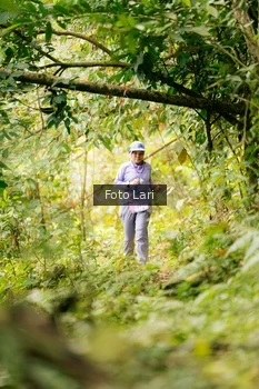 Runner Photo 2079106